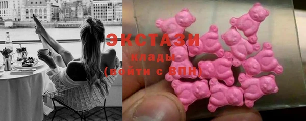 ECSTASY Инсар