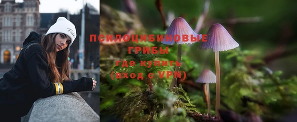 ALPHA-PVP Медногорск