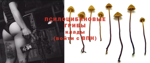 бутират Медвежьегорск