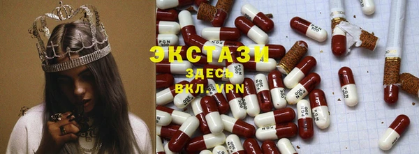 ECSTASY Инсар