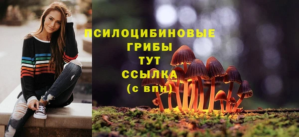 бутират Медвежьегорск