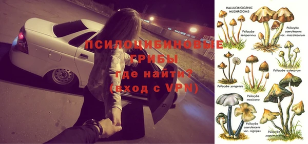 ALPHA-PVP Медногорск