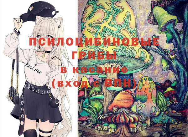 бутират Медвежьегорск