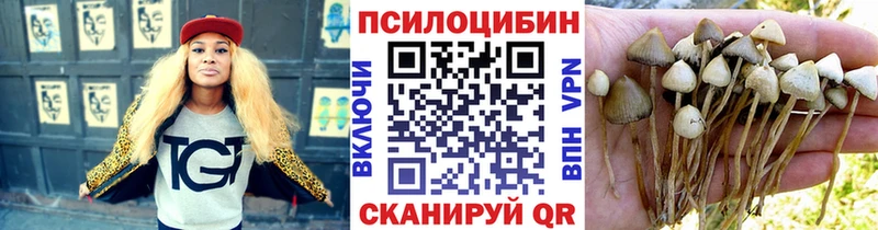Псилоцибиновые грибы мухоморы где купить Мамоново